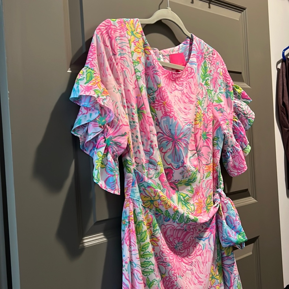 NWT Darlah Stretch Dress